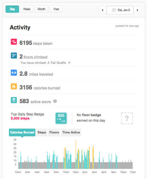 Fitbit dashboard activity