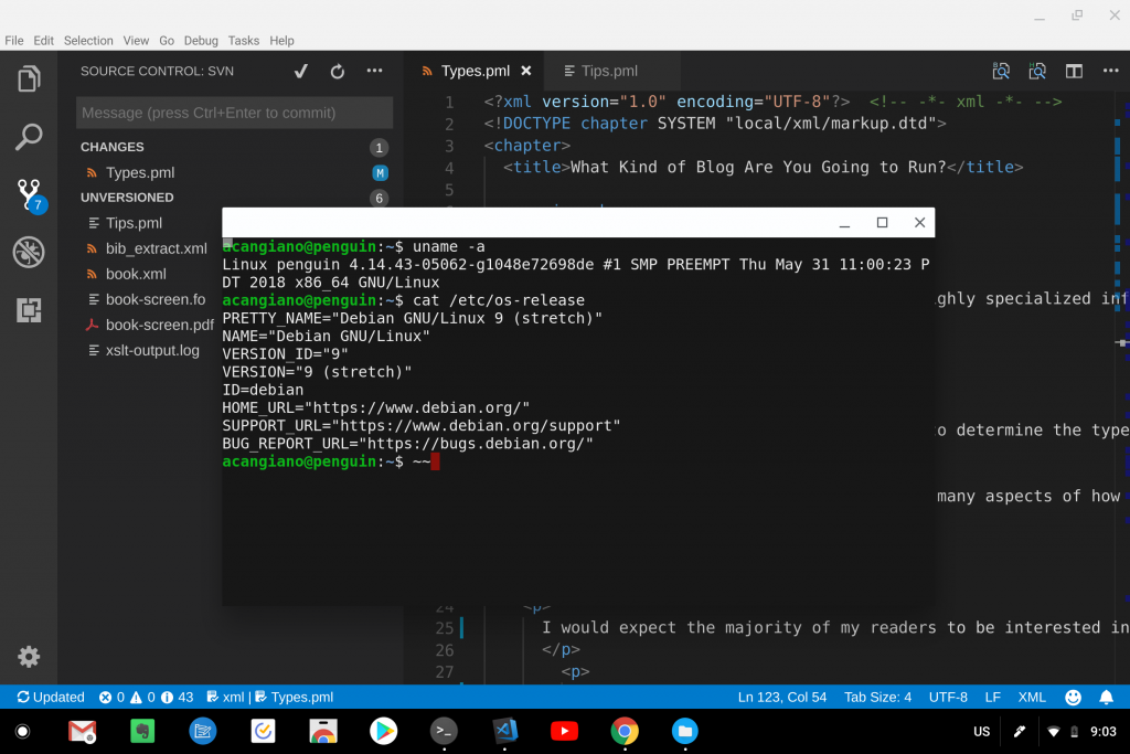 Linux Apps running on the Google Pixelbook