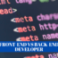 Front-End vs Back-End Developer